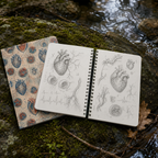 Human heart anatomy field notes and drawings on dotted pages beside a creek