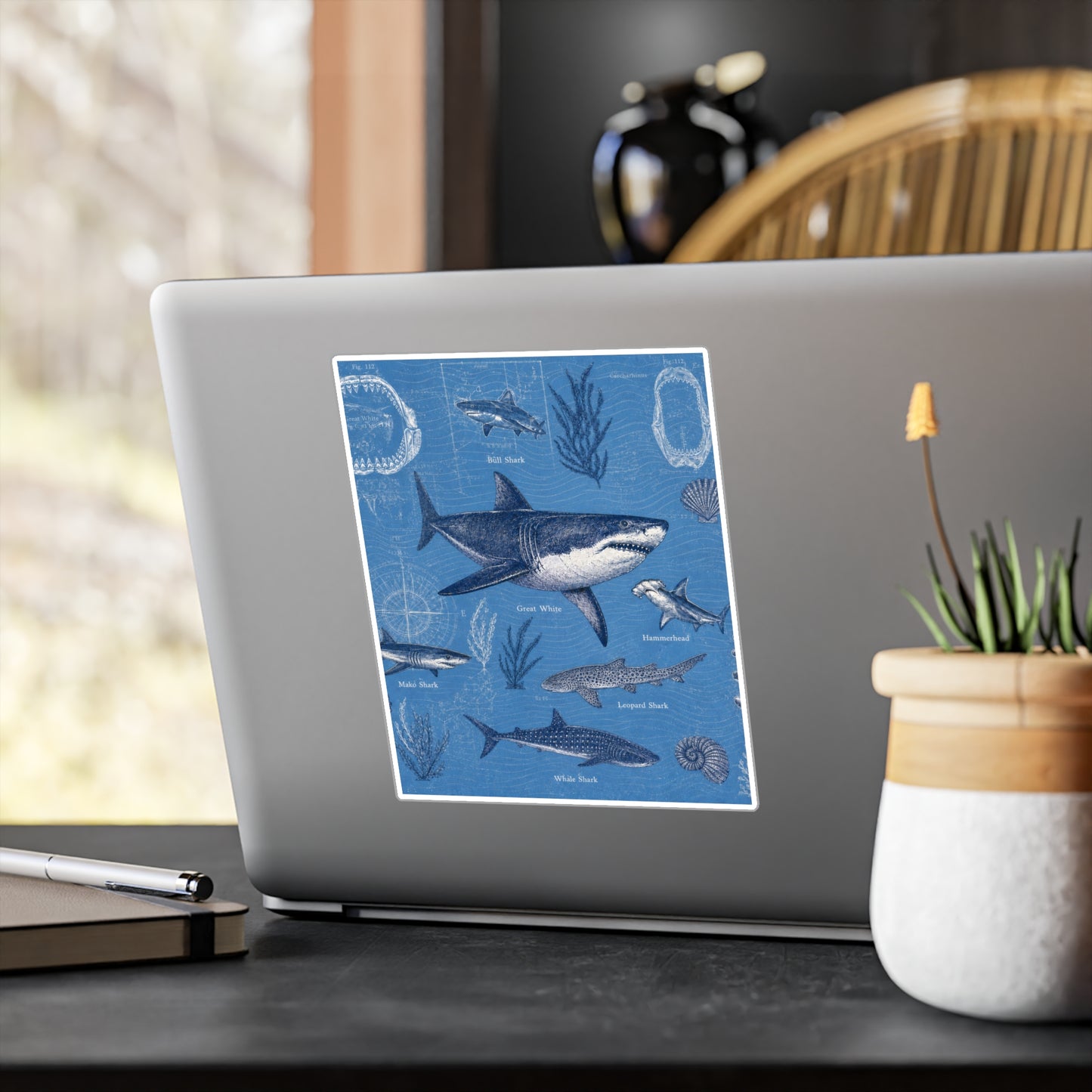 Shark Field Guide Vinyl Sticker
