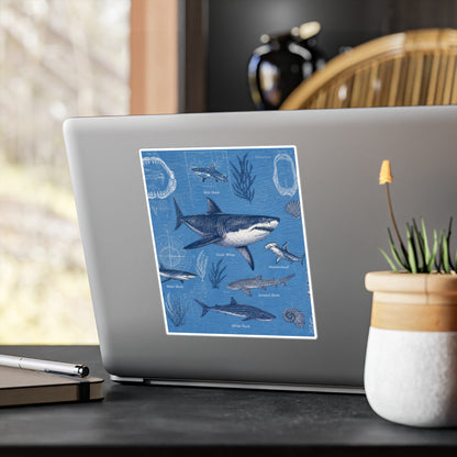 Shark Field Guide Vinyl Sticker