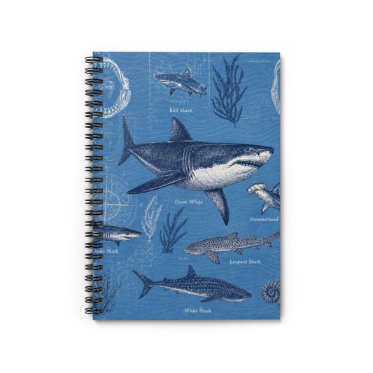Shark Species Spiral Notebook — Nautical Blue College Ruled Journal