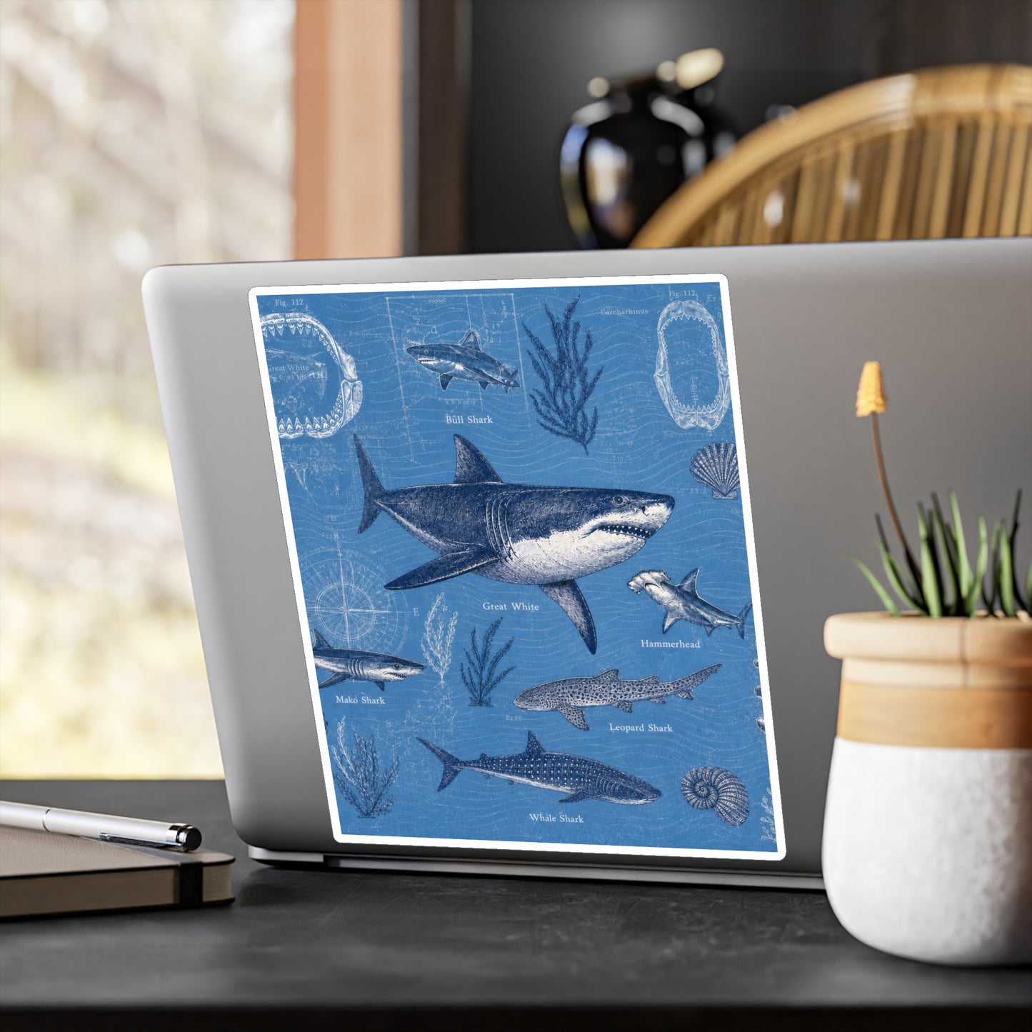 Shark Field Guide Vinyl Sticker