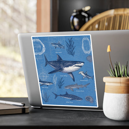 Shark Field Guide Vinyl Sticker