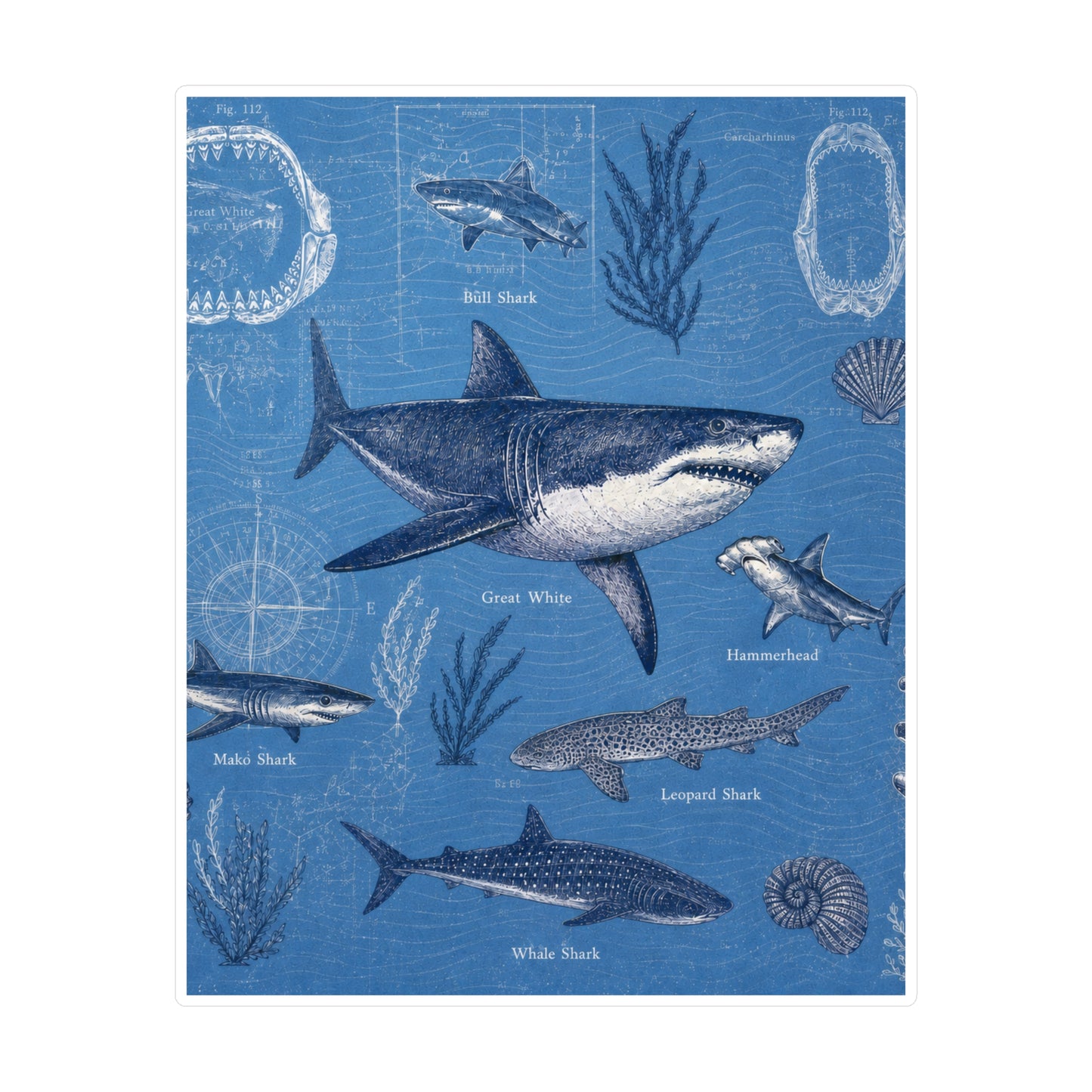 Shark Field Guide Vinyl Sticker