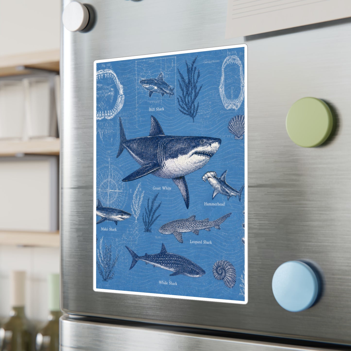 Shark Field Guide Vinyl Sticker