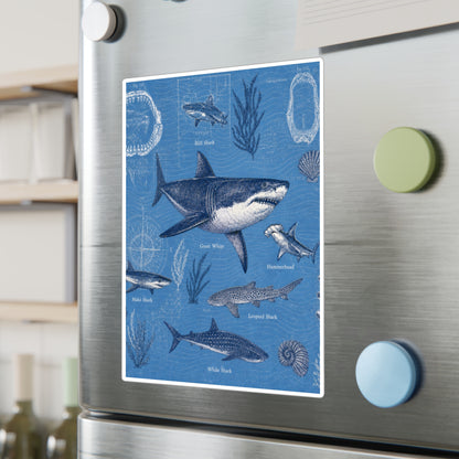 Shark Field Guide Vinyl Sticker