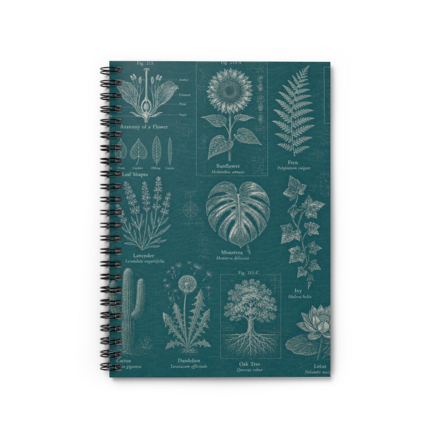 Botanical Field Notes Spiral Journal