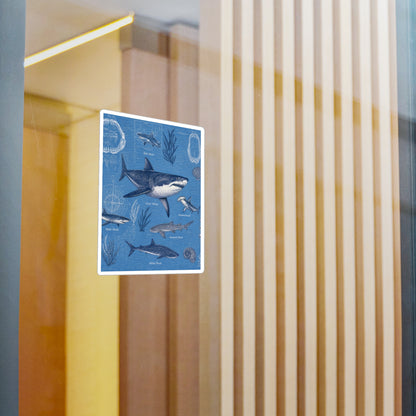 Shark Field Guide Vinyl Sticker