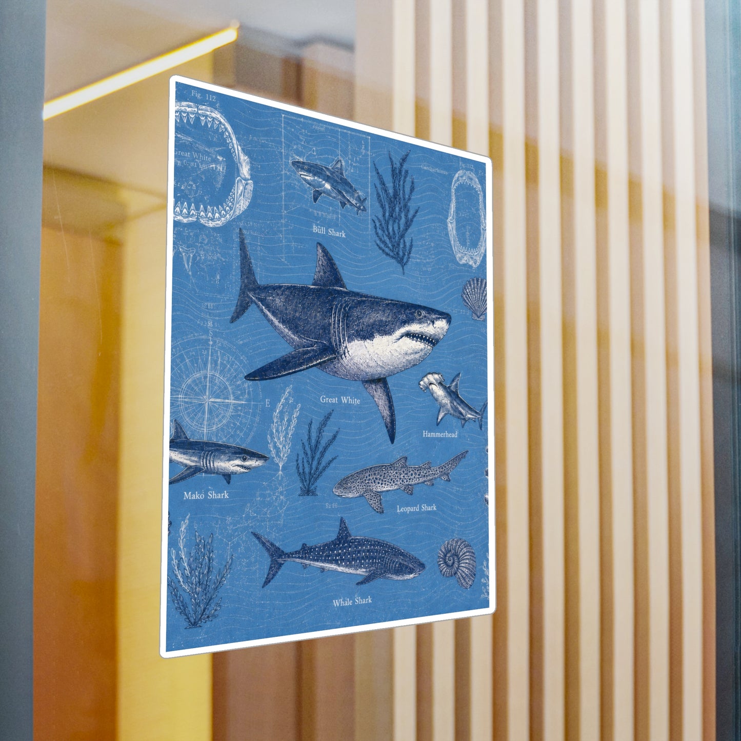 Shark Field Guide Vinyl Sticker