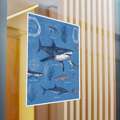 Shark Field Guide Vinyl Sticker