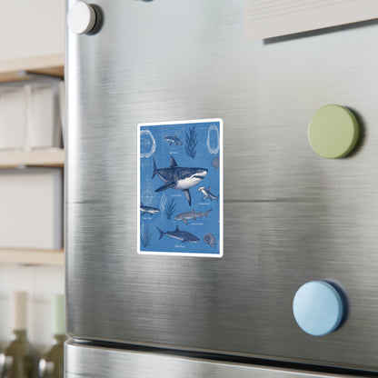 Shark Field Guide Vinyl Sticker