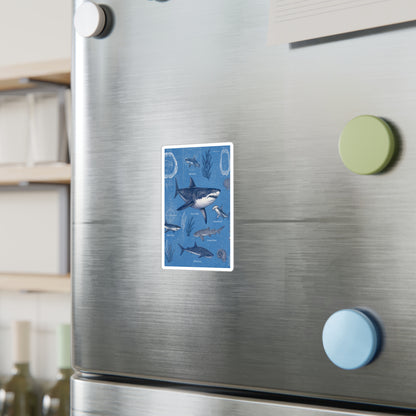 Shark Field Guide Vinyl Sticker