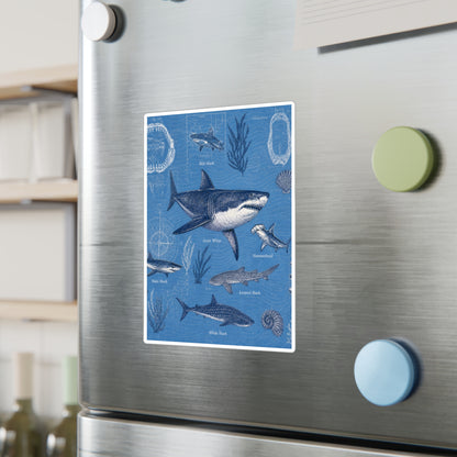 Shark Field Guide Vinyl Sticker