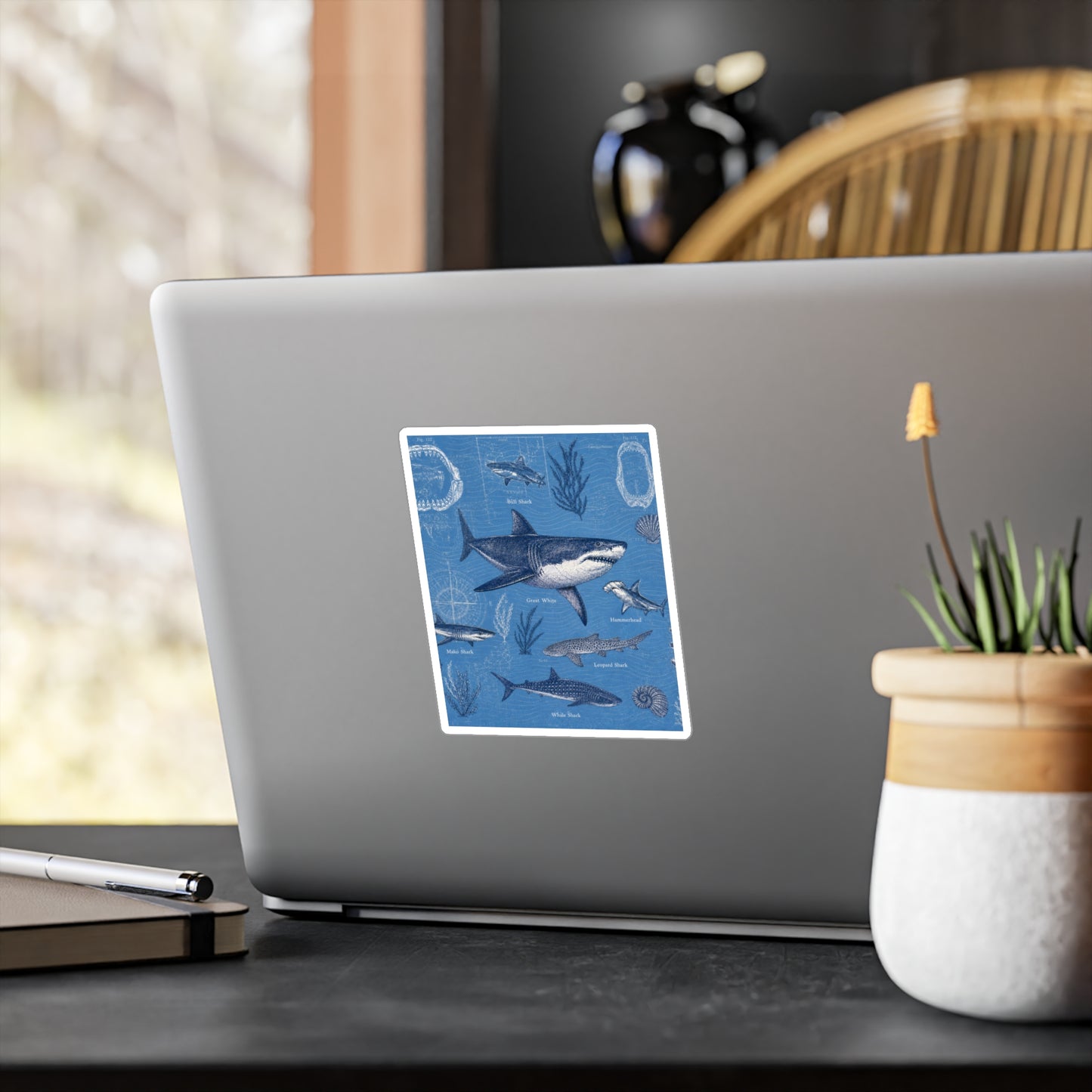 Shark Field Guide Vinyl Sticker