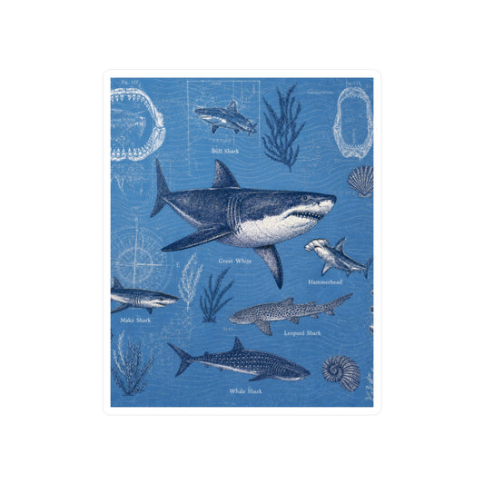 Shark Species Vintage Diagram Kiss-Cut Vinyl Decal