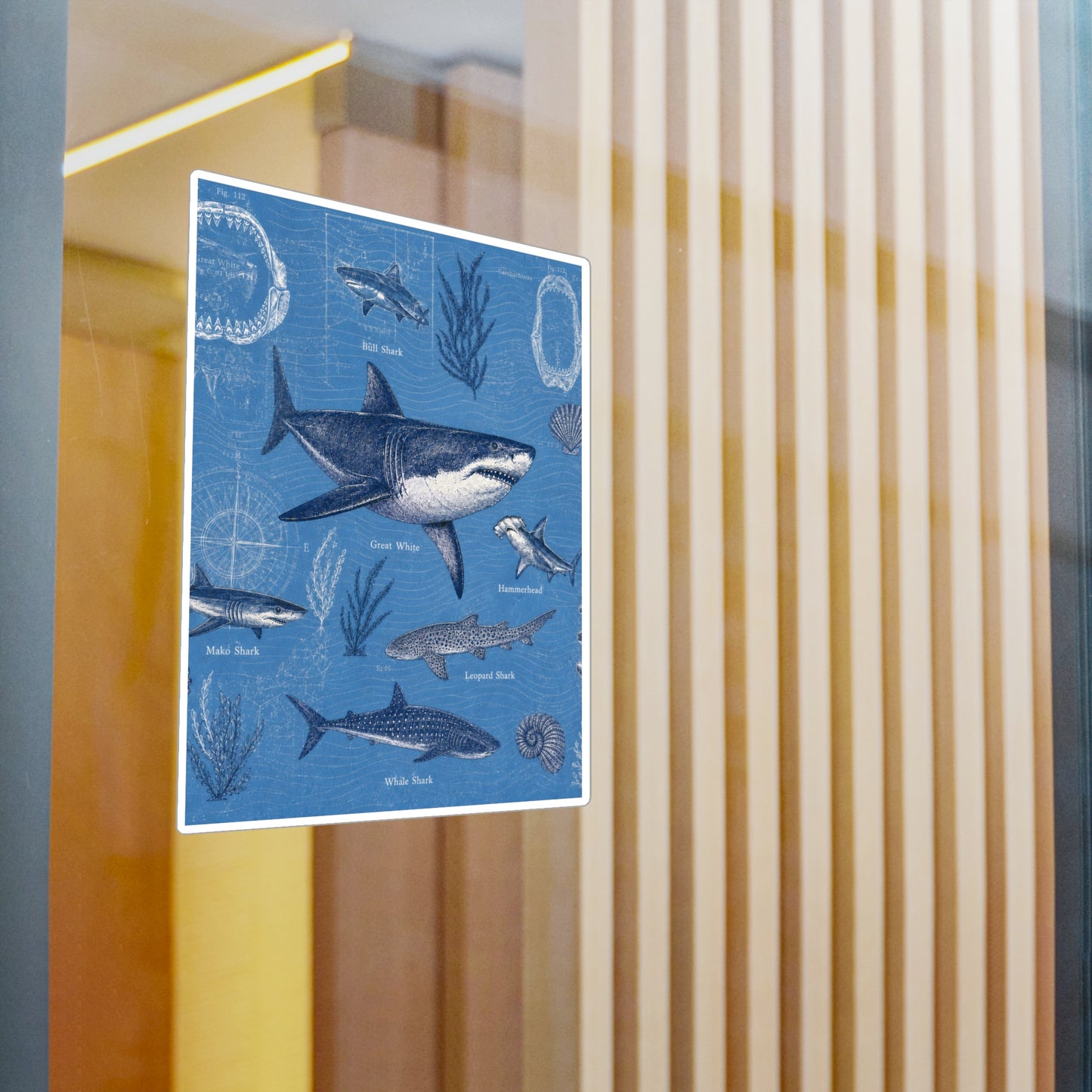 Shark Field Guide Vinyl Sticker