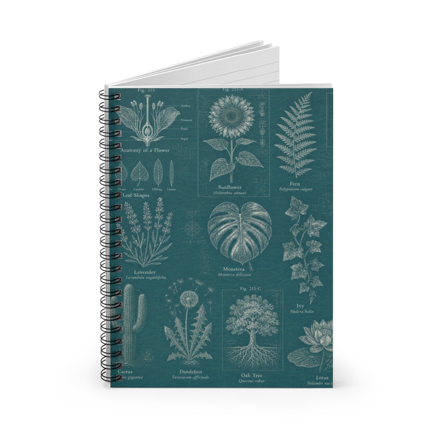 Botanical Field Notes Spiral Journal