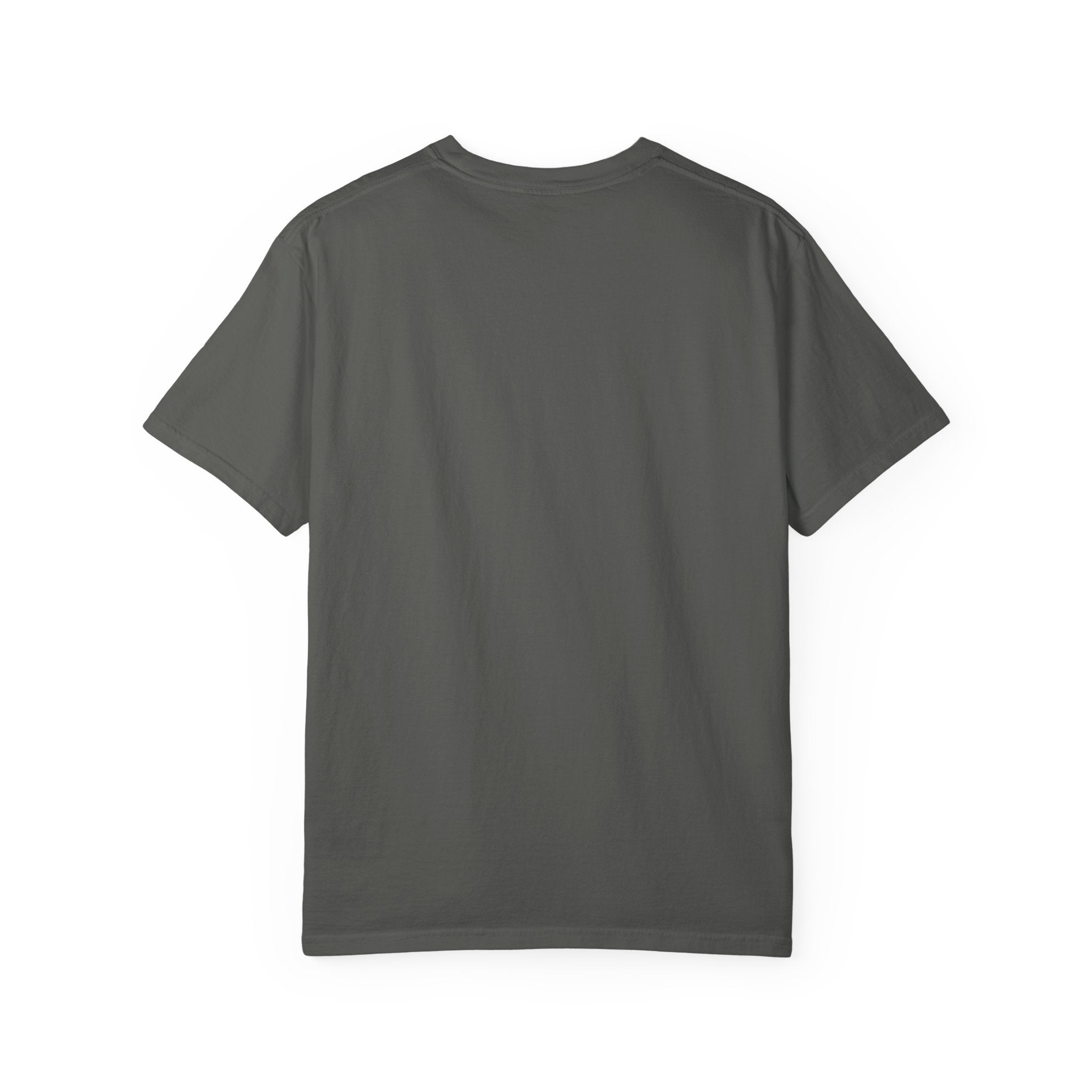 Birds of the Parks Field Notes Comfort Colors Tee
