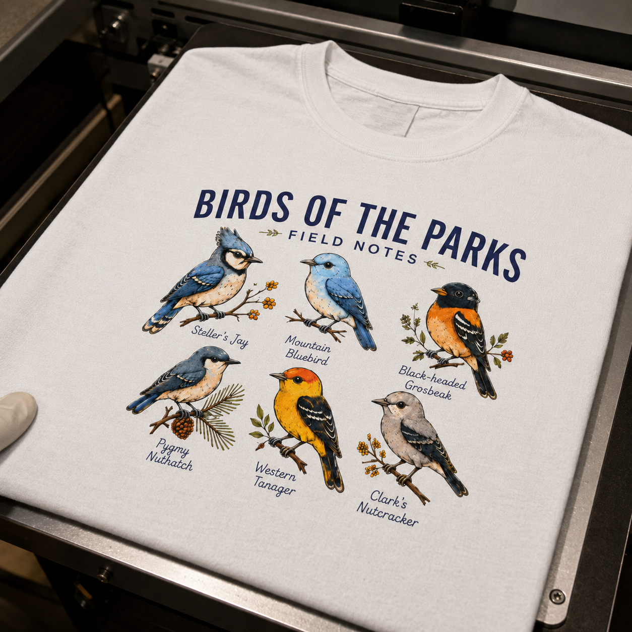 Birds of the Parks Field Notes artwork freshly printed on white Comfort Colors cotton on a DTG printer platen